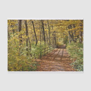 At Fall In Wienerwald Tissue Paper
