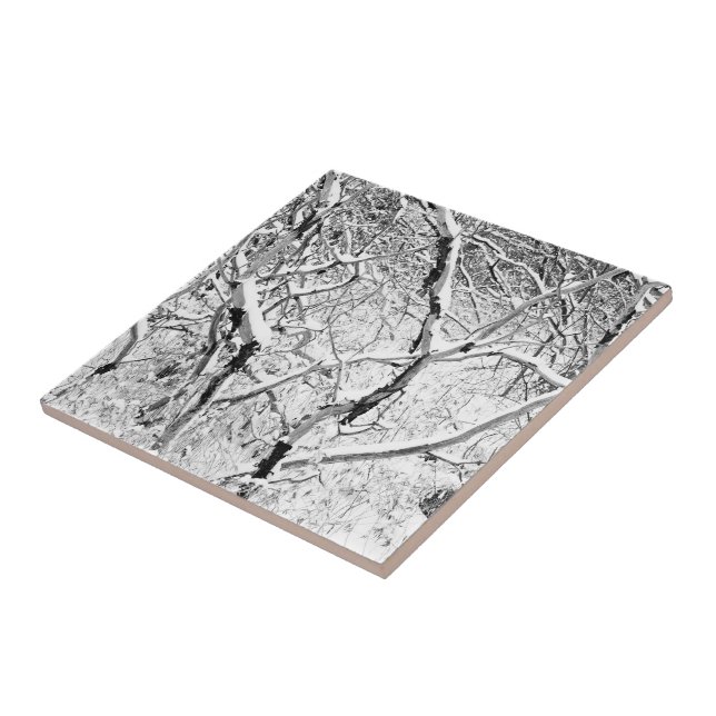 at home in snow ceramic tile (Side)