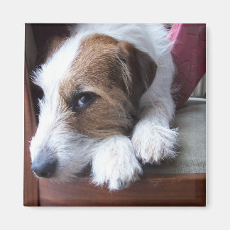 At home on Sunday Magnet