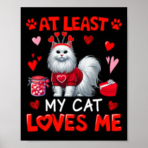 At Least My Cat Loving Me Valentine's Single Owner Poster