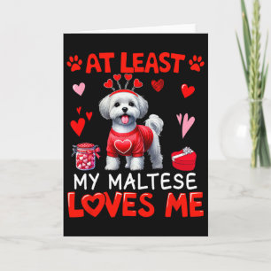 At Least My Maltese Loving Me Valentine's Single O Card