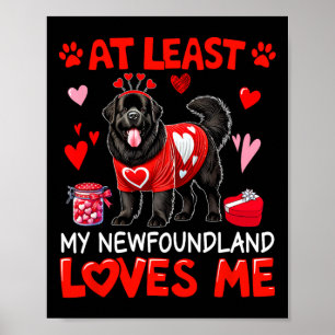 At Least My Newfoundland Loving Me Valentine's Sin Poster