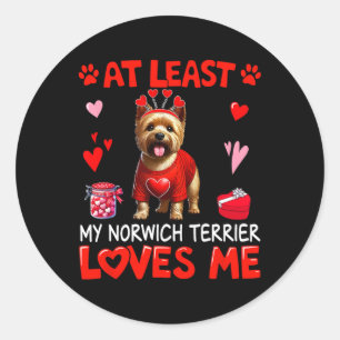 At Least My Norwich Terrier Loving Me Valentine's  Classic Round Sticker