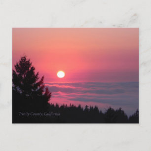 At peace once again.... postcard