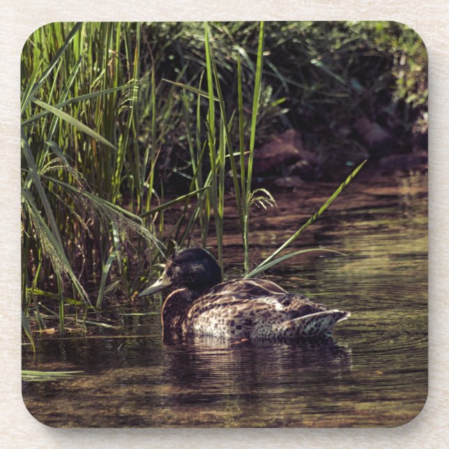 At Pond's Edge Coaster (Front)