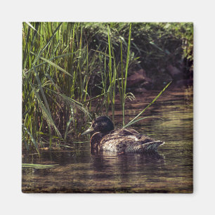 At Pond's Edge Magnet