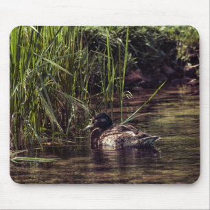 At Pond's Edge Mouse Pad