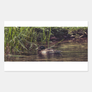 At Pond's Edge Rectangular Sticker
