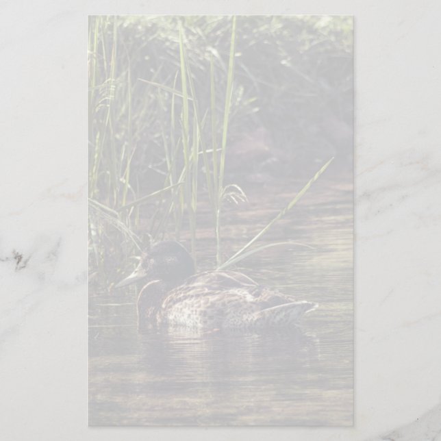 At Pond's Edge Stationery (Front)