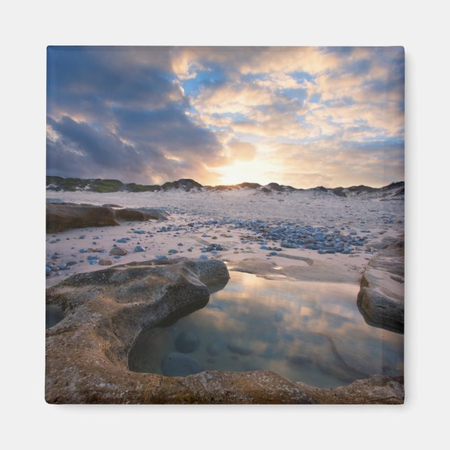 At Sunset In A Puddle Magnet (Front)