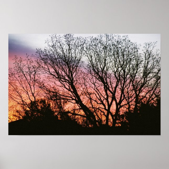 At Sunset Photographic Poster (Front)
