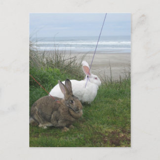 At the Beach Postcard