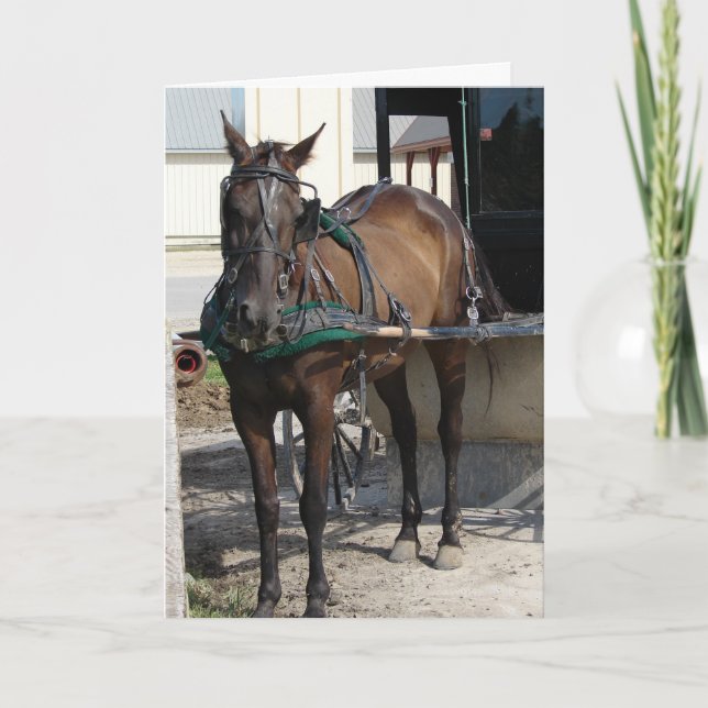 At the Hitching Post Birthday Card (Front)