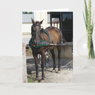 At the Hitching Post Card