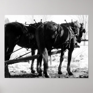 At the Hitching Post Poster