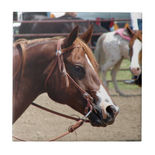 At the Horse Show Ceramic Tile