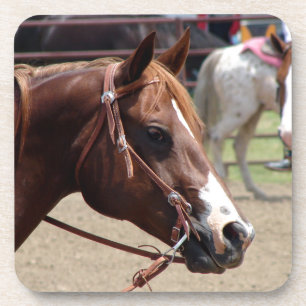 At the Horse Show Coaster