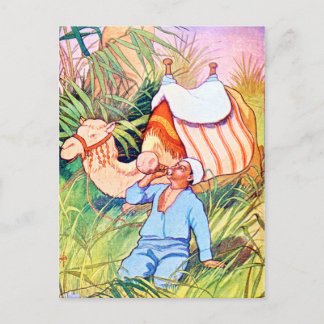 At The Oasis Postcard