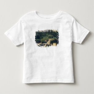 At the Shallow, 1892 Toddler T-Shirt