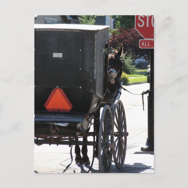 At the Stop Sign, An amish horse Postcard (Front)