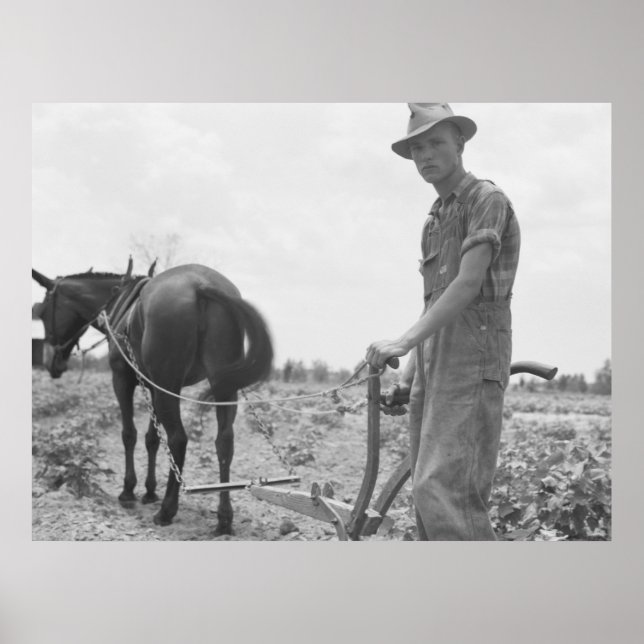 At Work in the Cotton Poster (Front)