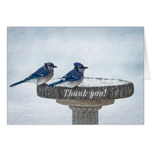 At Your Side Through The Storm Thank You Card