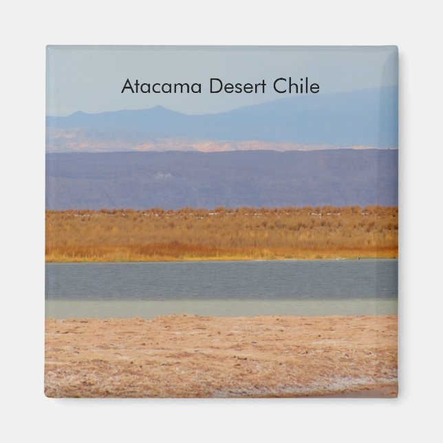 Atacama Desert, Chile Magnet (Front)