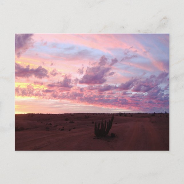 Atacama Desert, Chile Postcard (Front)