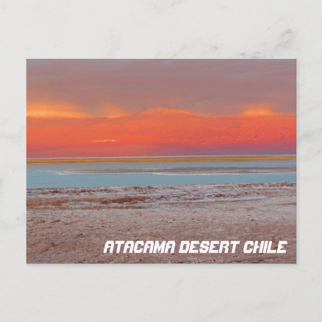 Atacama Desert, Chile Postcard (Front)