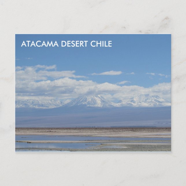 Atacama Desert, Chile Postcard (Front)