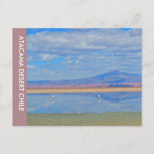 Atacama Desert, Chile Postcard