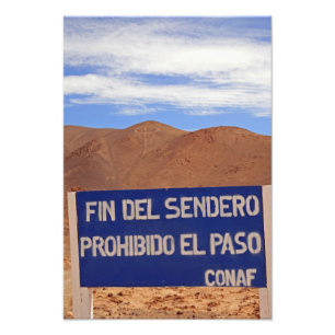Atacama geoglyphs, Chile Photo Print