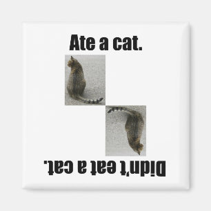 Ate A Cat. Magnet