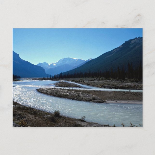 Athabasca River, Icefield Parkway, Alberta, Canada Postcard (Front)