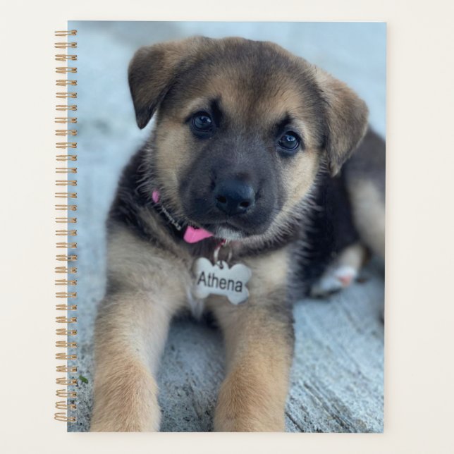 Athena puppy  planner (Front)