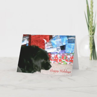 Athena waiting for Christmas Holiday Card