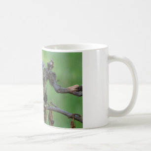 Athene noctua coffee mug