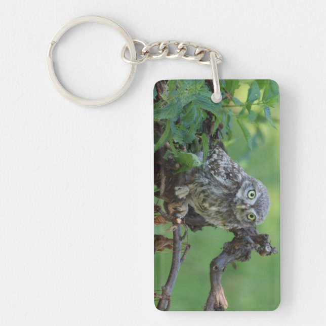 Athene noctua key ring (Front)