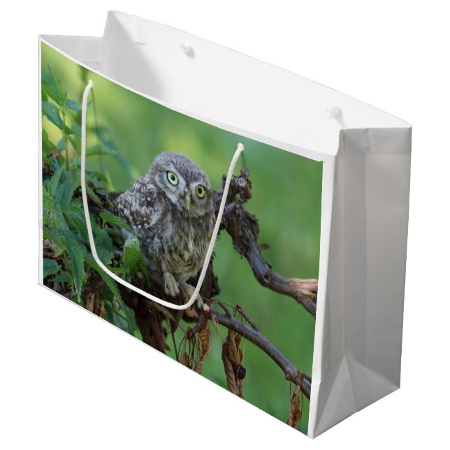 Athene noctua large gift bag (Front Angled)