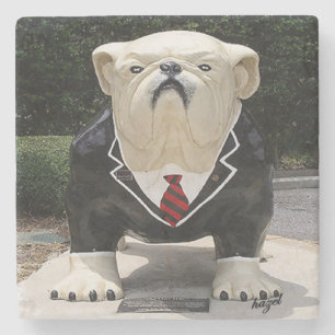Athens Georgia Coasters, Bulldog Suit Stone Coaster