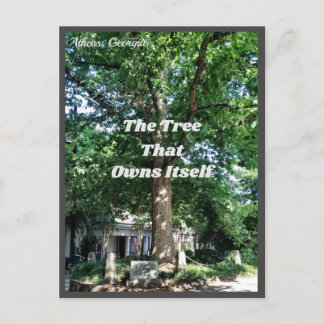 Athens Georgia USA Postcard GA