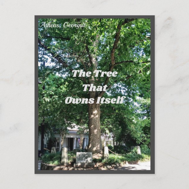 Athens Georgia USA Postcard GA (Front)