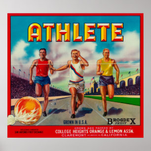 Athlete Brand Citrus Crate Label Poster