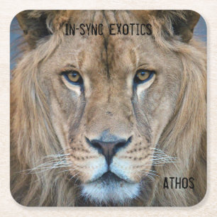 Athos - square paper coaster