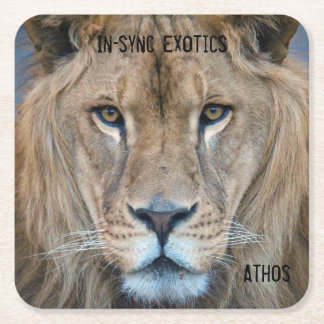 Athos - square paper coaster