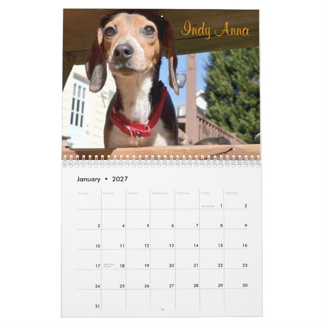 Atlanta Beagle Rescue 2015 Calendar (Jan 2027)