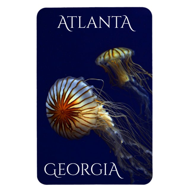Atlanta Georgia Curious Jellyfish Magnet (Vertical)