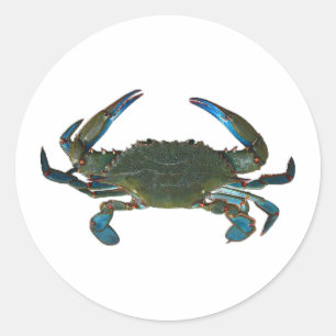 Atlantic Blue Crab Logo Classic Round Sticker