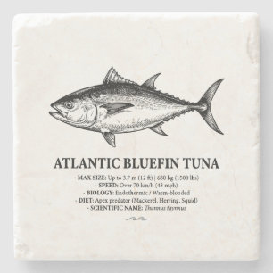 Atlantic Bluefin Tuna Scientific Illustration Stone Coaster
