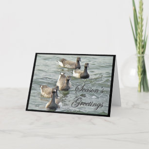 Atlantic Brant Geese Season's Greetings Series Holiday Card